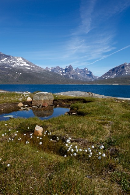 Greenland 20