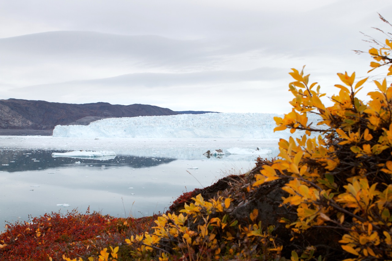 Greenland 11